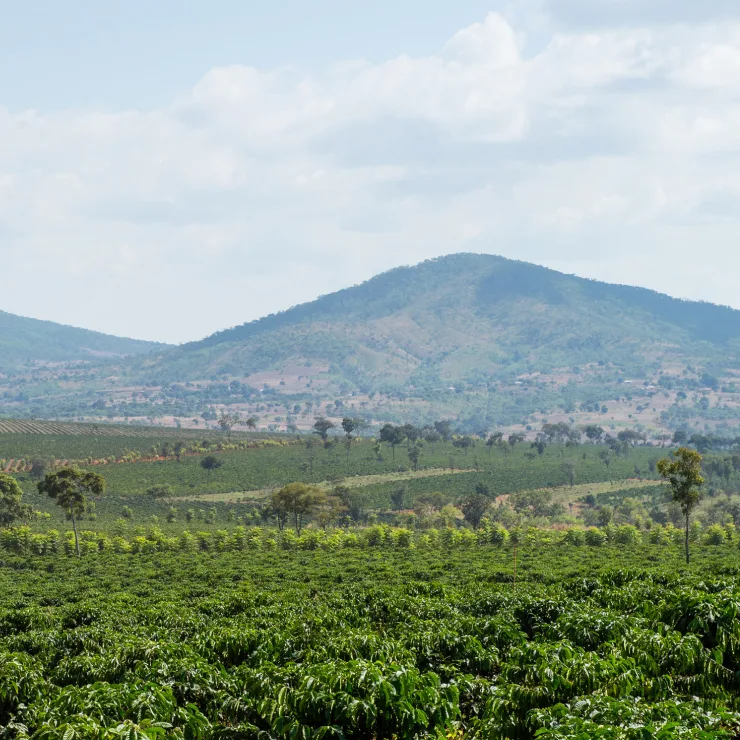 GC Central South America - Sustainability