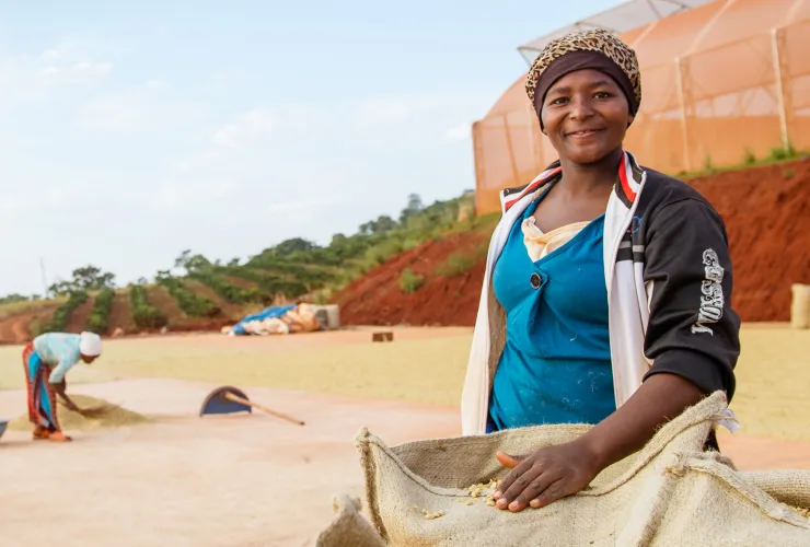 PLP - Green coffee Ingredient offering card 1 Africa image media asset