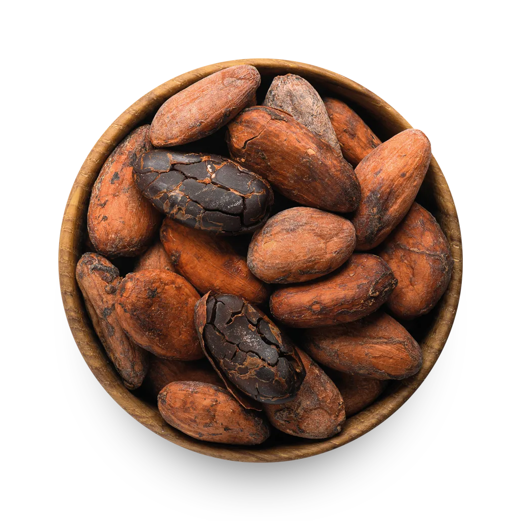 Cocoa circle png