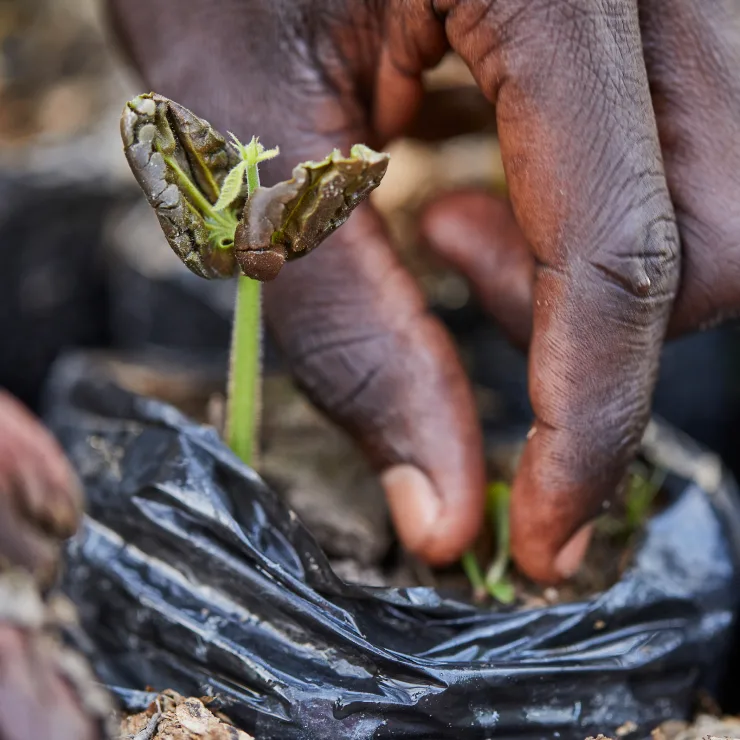 Regenerating the living world - Measuring our cost on nature