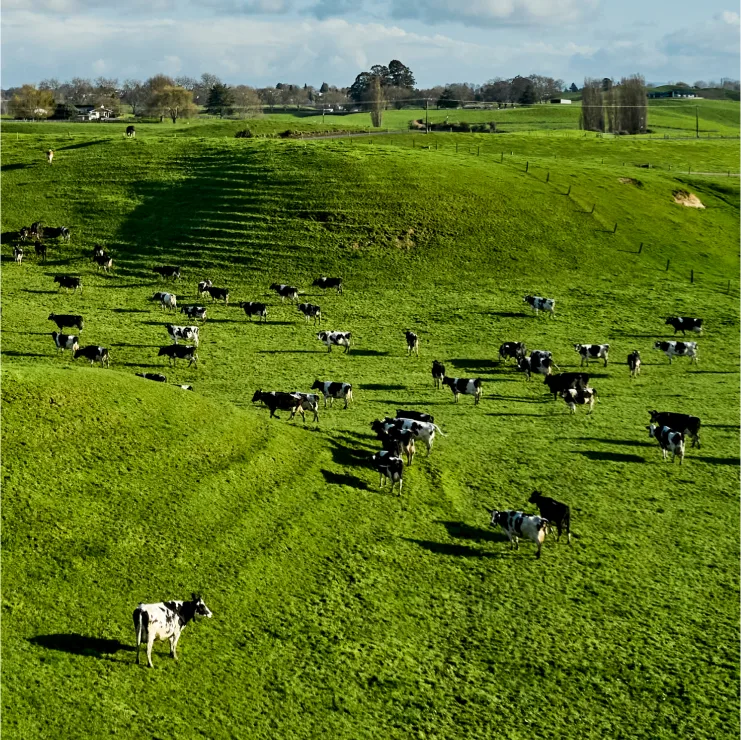 Dairy ingredients Sustainability