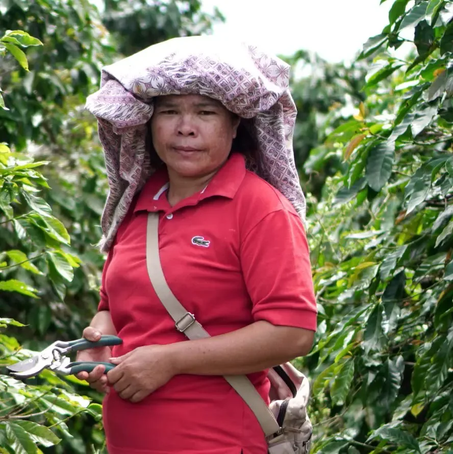 Th sumatra partnership