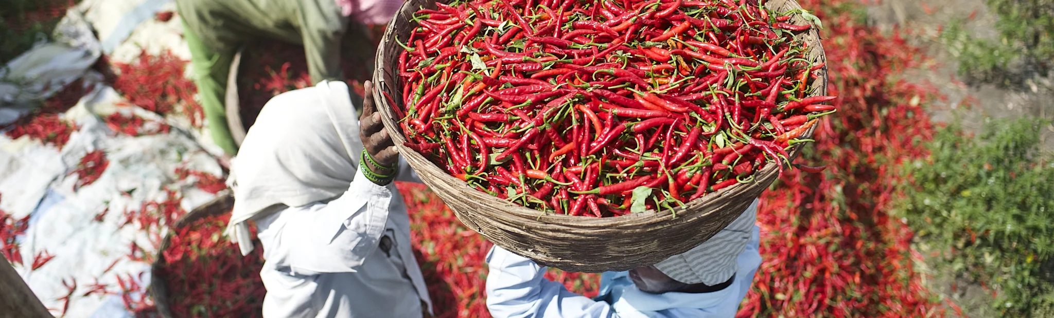 Supply chain control Landing - Header Banner