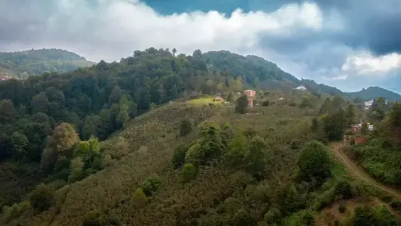 Image of houses on top of a hill