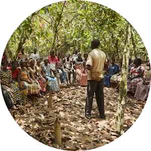 20 year anniversary of cocoa sustainability at ofi - timeline card 2007 image