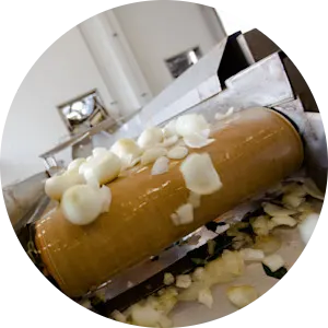 Processing and dehydrating