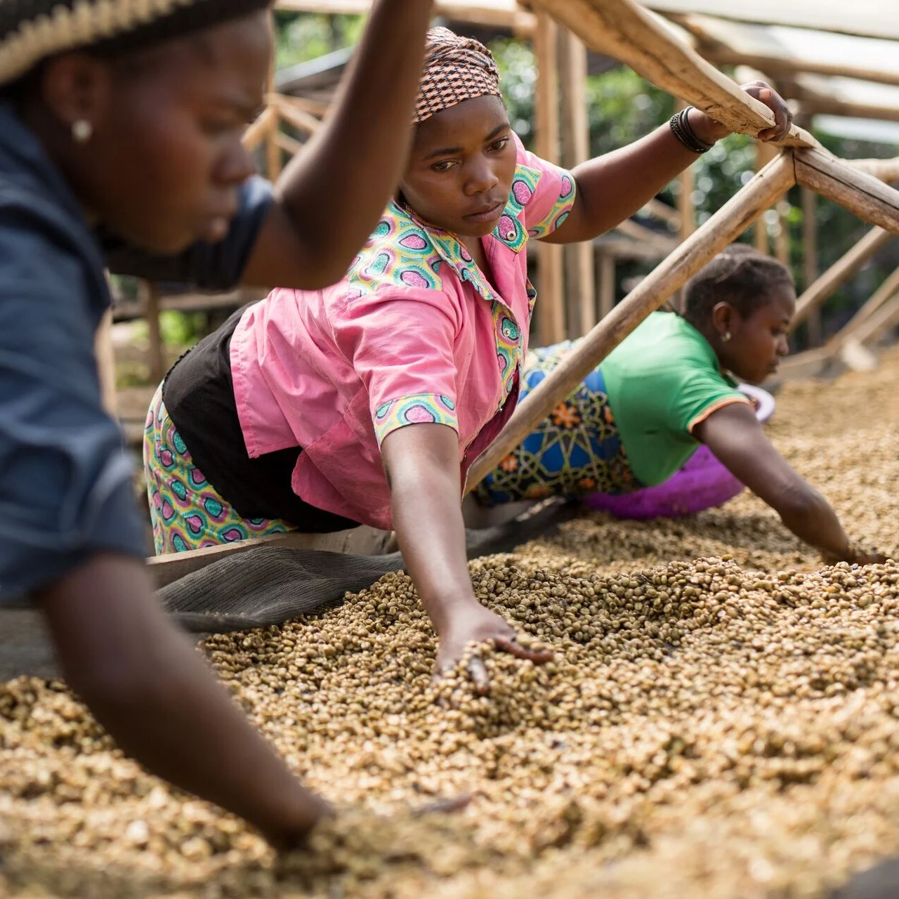 Your source of traceable coffee