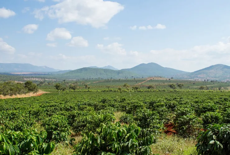 General sustainability impact areas card 4 image Regenerating the living world media asset