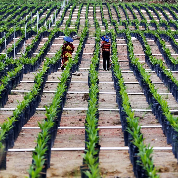 PLP - Specialty fats tab wrapper tab 3 content image media asset