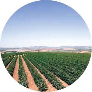 About ofi Timeline Carousel - 2019 