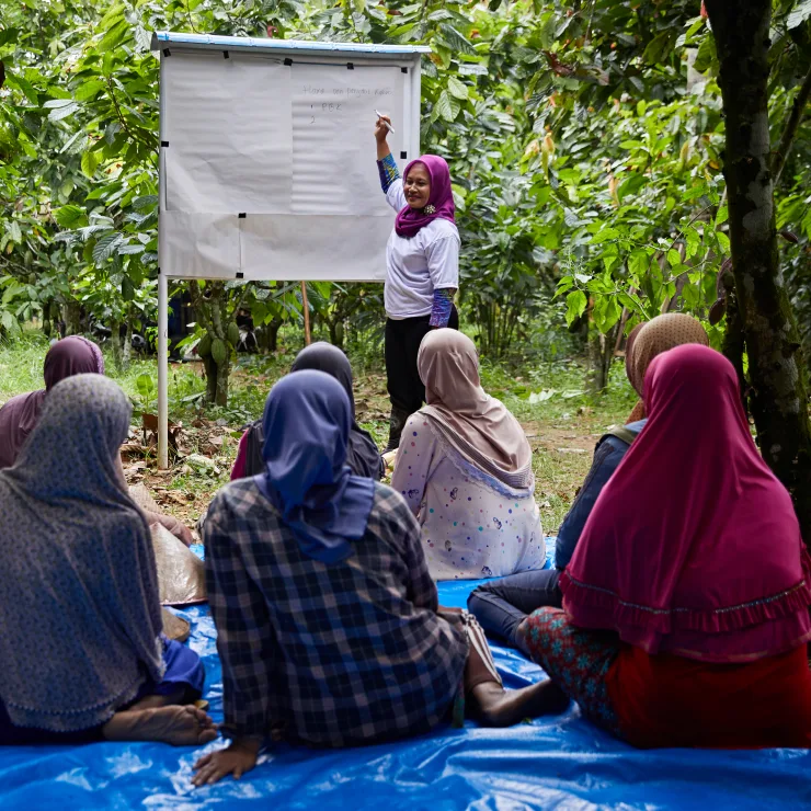 Finance for Sustainability - Innovation