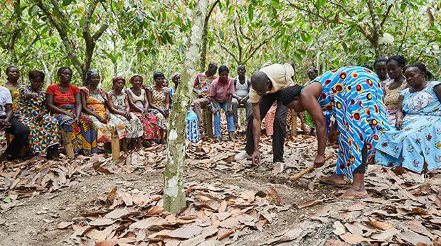 Female farmer group sitting in a circle
