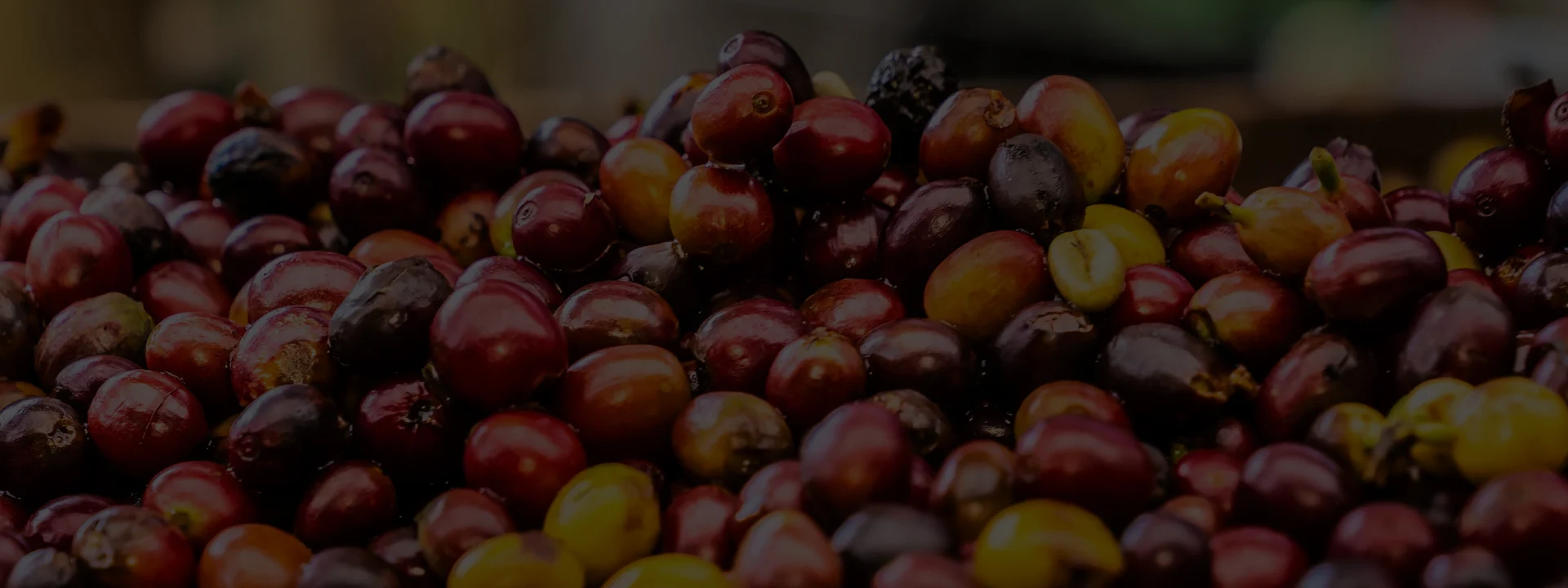 Coffee contact banner image
