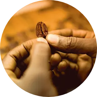 About ofi Timeline Carousel - 1989 