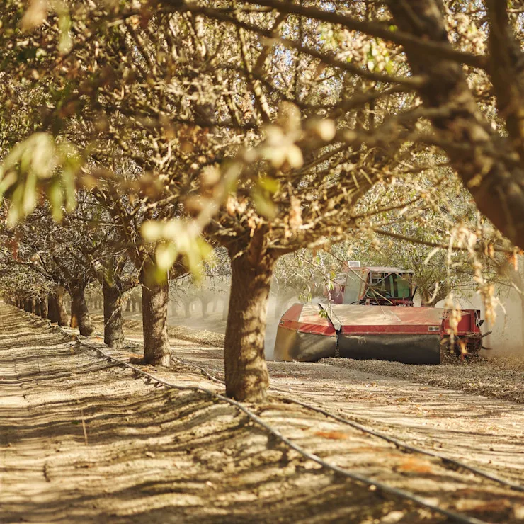 Supply Chain Transparency 1