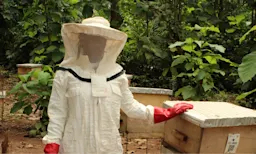 UBEES Project Image