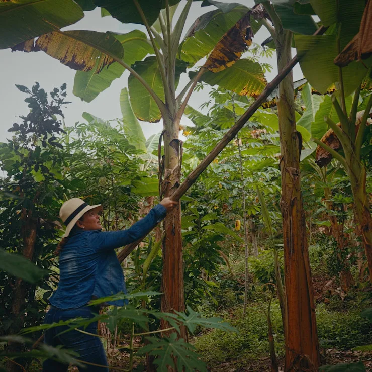 Timeline 1 01 00 02 21 square