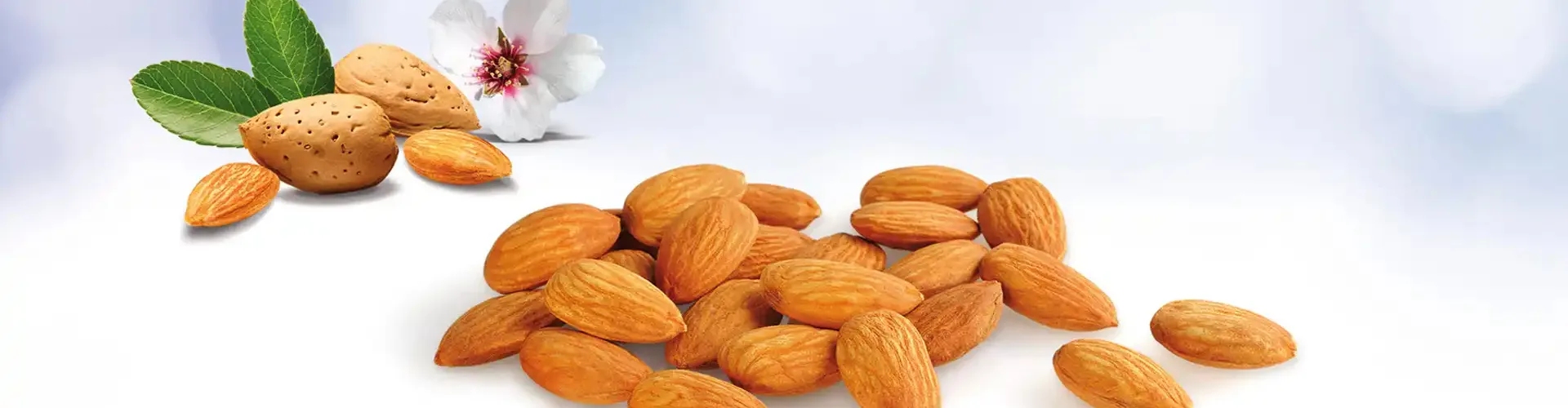 Marshimport - Almonds header image media asset