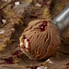 Ice Cream Pre-mix 
