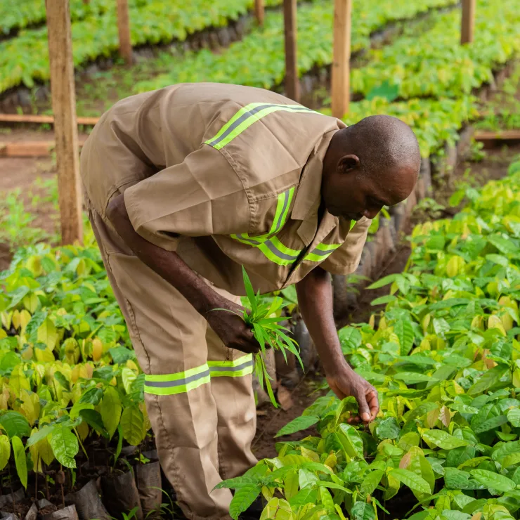 Prosperous Farmers - Our target