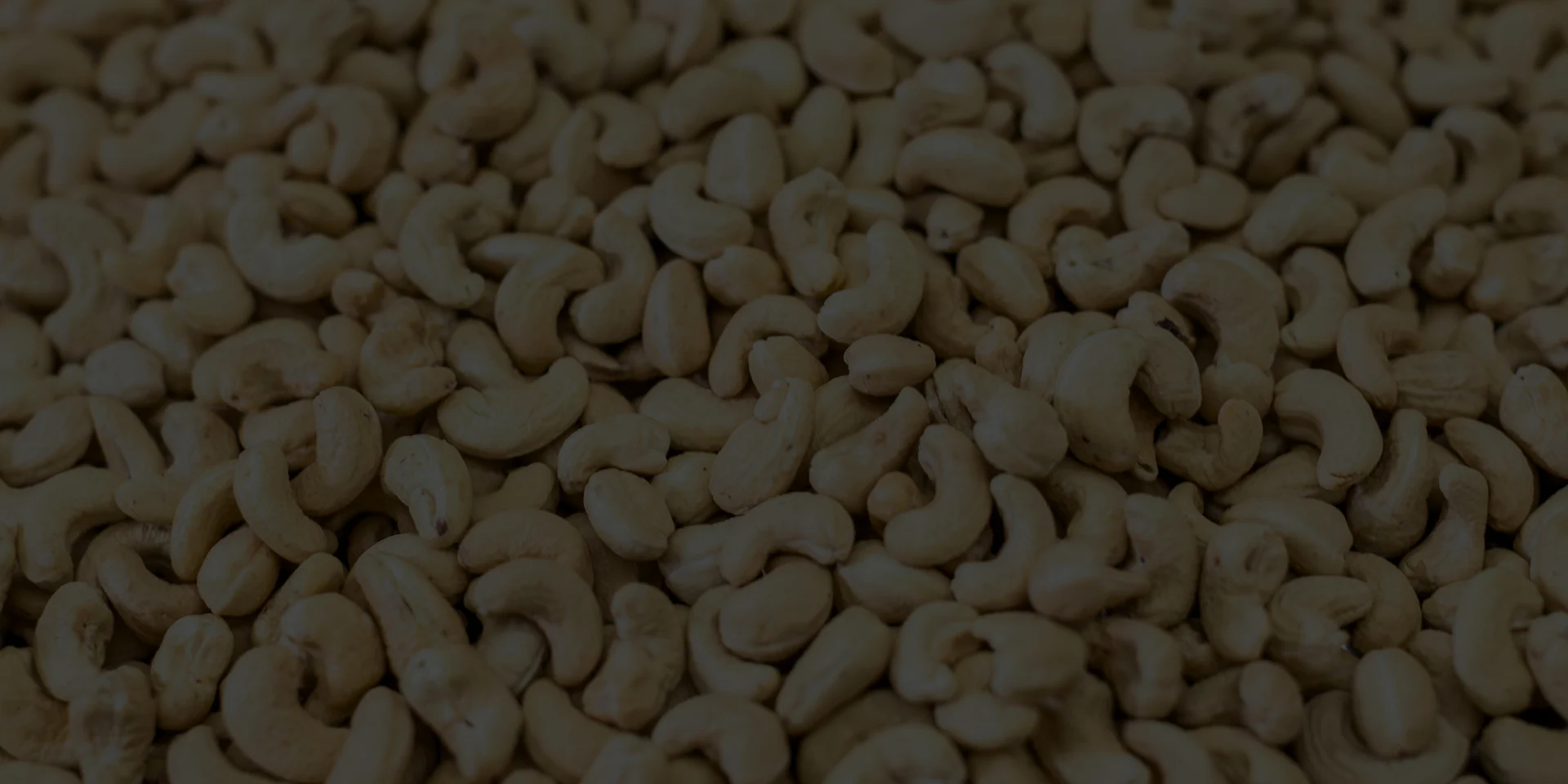 Cashews Stats background