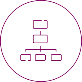 Organisational structure