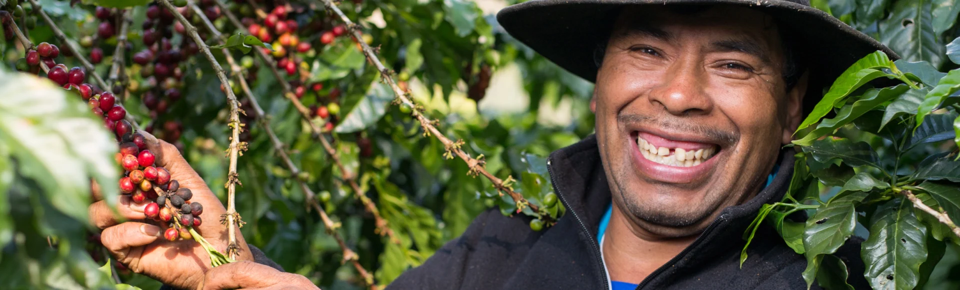 GC Central South Amercia - Header Banner