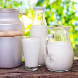 Innovation in Dairy - Natural and clean label