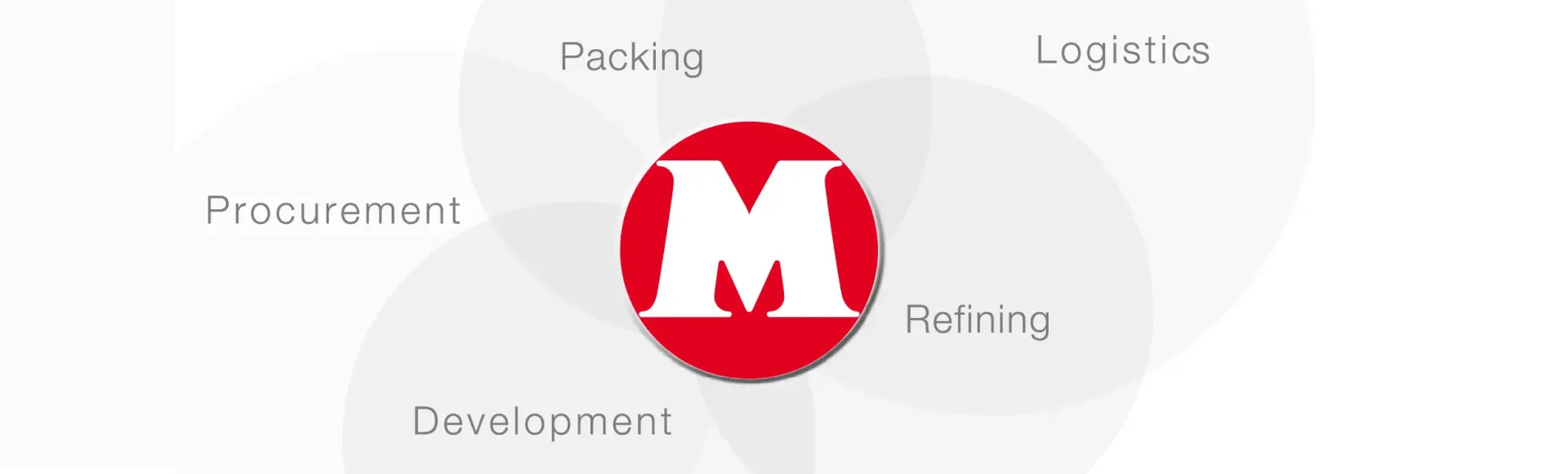 Marshimport - Activities image media asset