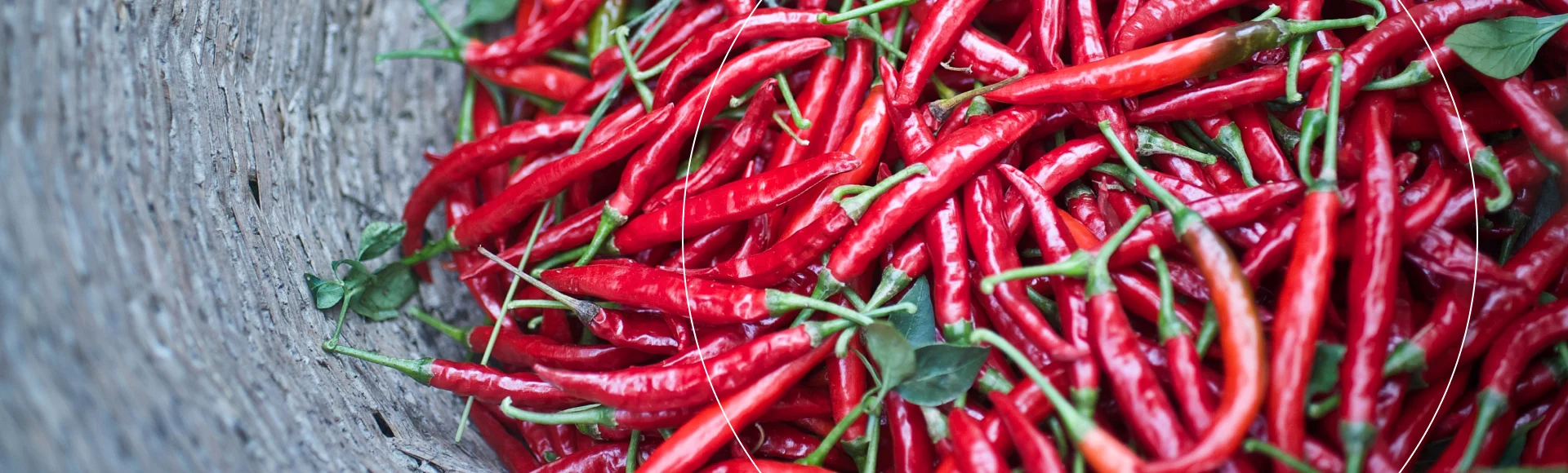 5 Chiles Header banner image