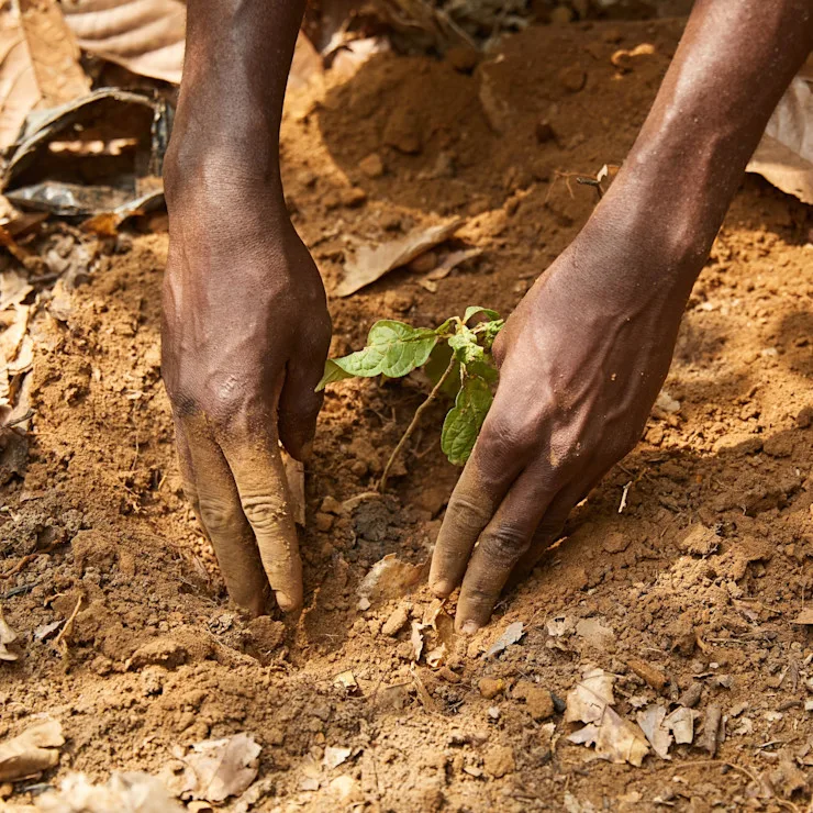 Ingredients landing page: supply chain image