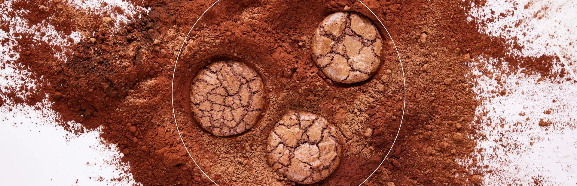 CLP - Cocoa - image asset media