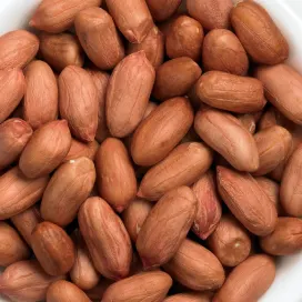 Peanuts image 272 x 272