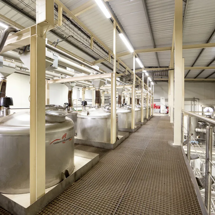 Finance for Sustainability - Processing