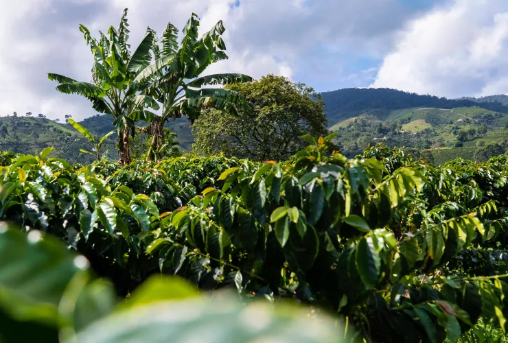 General sustainability impact areas card 3 image climate positive media asset