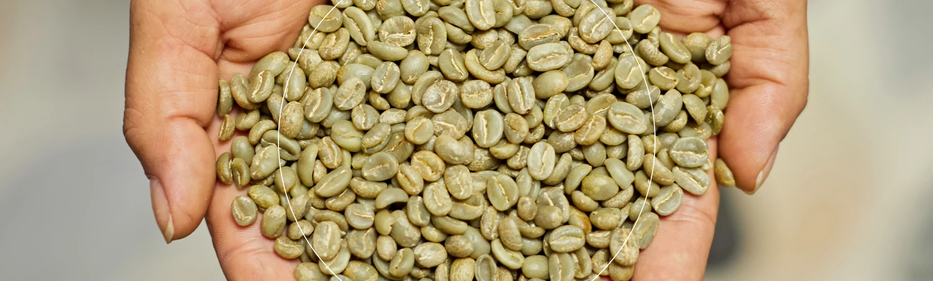 PLP - Green coffee - image media asset