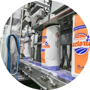 Fat filled processing step 3 image