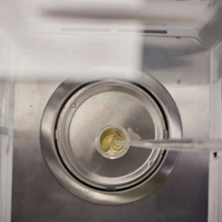 PLP - cocoa butter why choose? image media asset