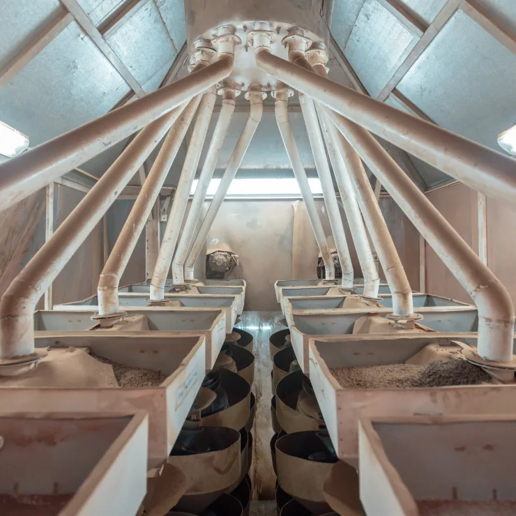 Spices Processing / Supply chain image