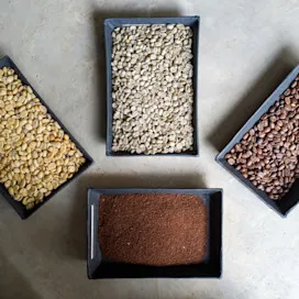 Product ingredient tiles - Roast & Ground Coffee 1