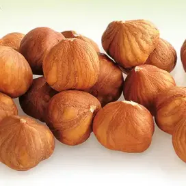 Marshimport - Ingredients card - Hazelnuts image asset