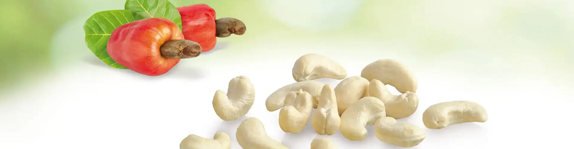 Marshimport - Cashew Nuts header image media asset