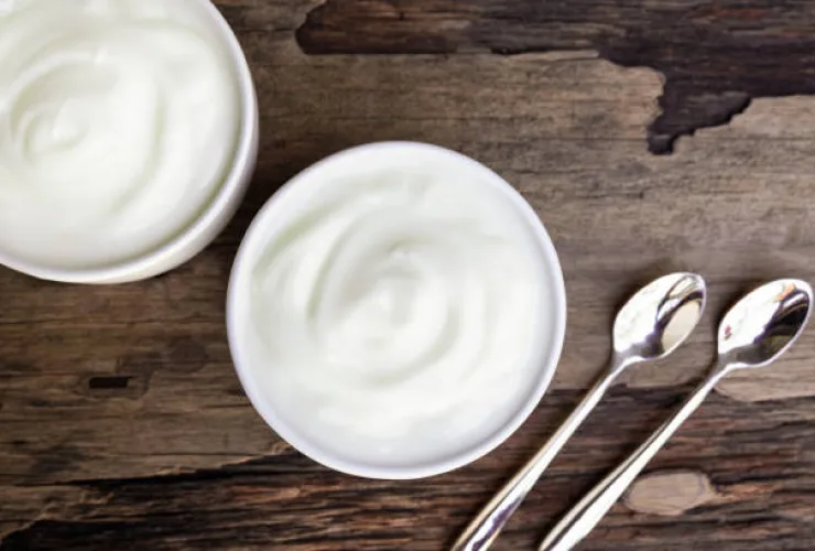 Product ingredient - Descriptions - Lactorich Pluz N8