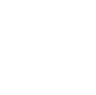 Revenue Icon