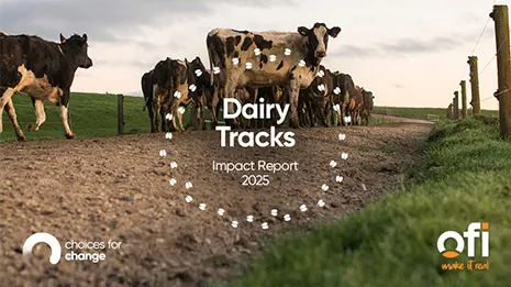 Dairy Tracks 2025 impact report thumbnail