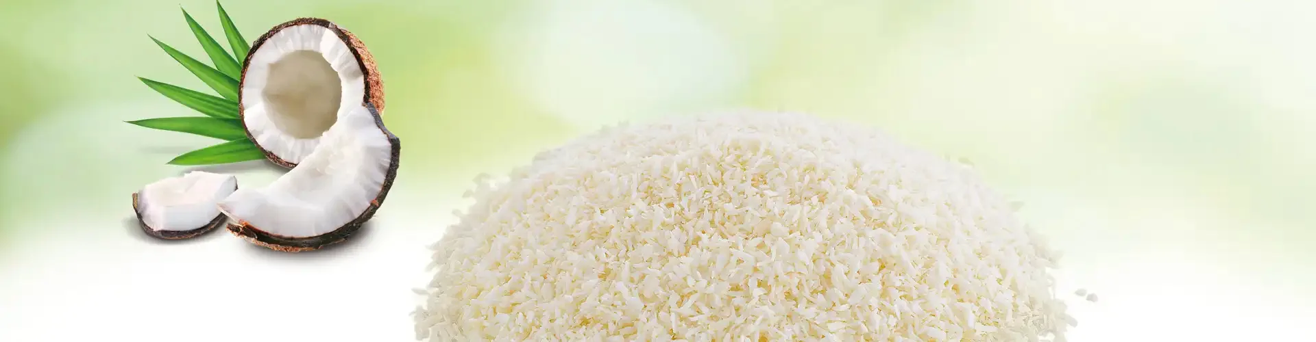 Marshimport - Desiccated Coconut header image media asset