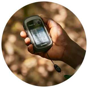 Sustainability in Spices - Supply chain OFIS