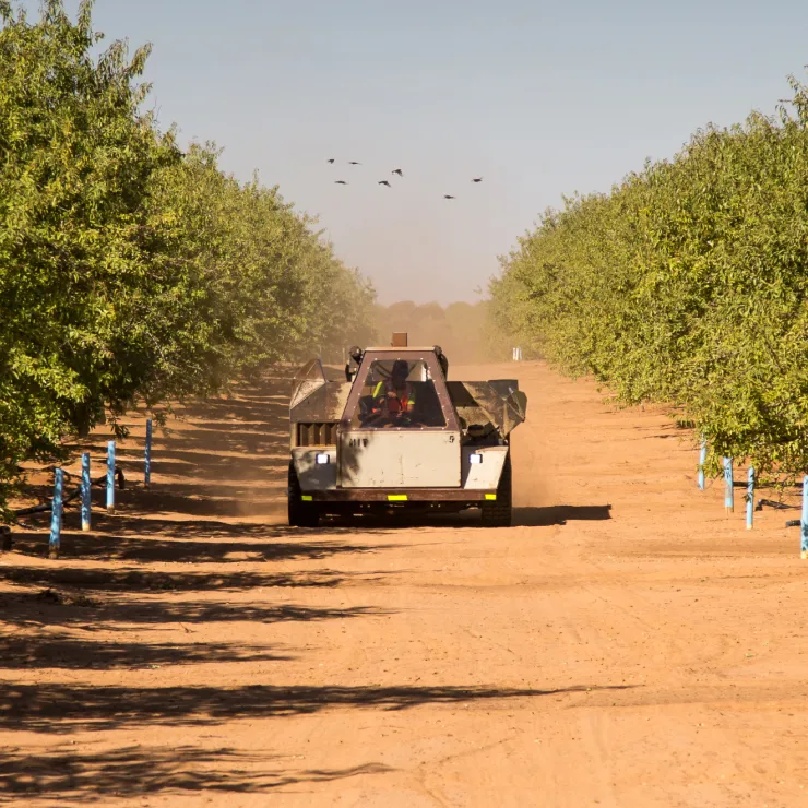 Almond Supply Chain