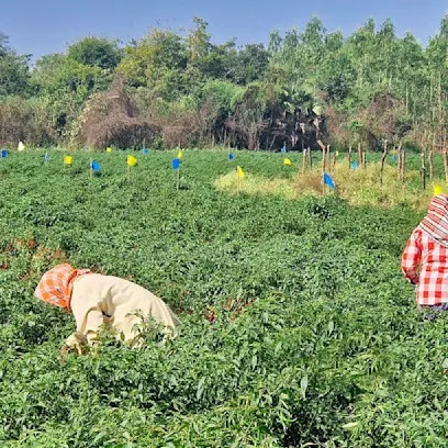 Ethics and compliance card