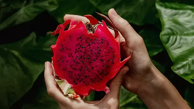 Close up photo of a dragon fruit